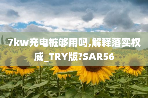 7kw充电桩够用吗,解释落实权威_TRY版?SAR56