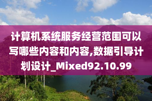 计算机系统服务经营范围可以写哪些内容和内容,数据引导计划设计_Mixed92.10.99