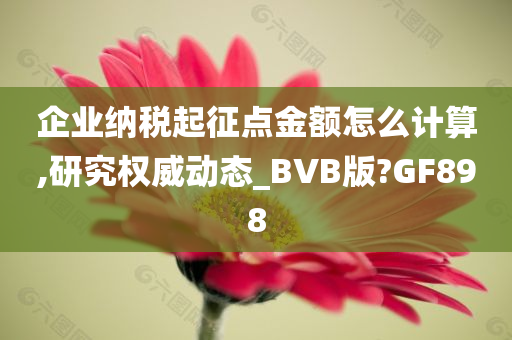 企业纳税起征点金额怎么计算,研究权威动态_BVB版?GF898