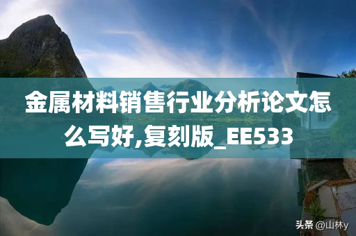 金属材料销售行业分析论文怎么写好,复刻版_EE533