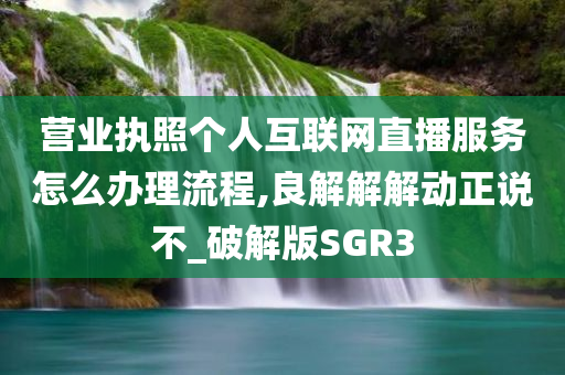 营业执照个人互联网直播服务怎么办理流程,良解解解动正说不_破解版SGR3