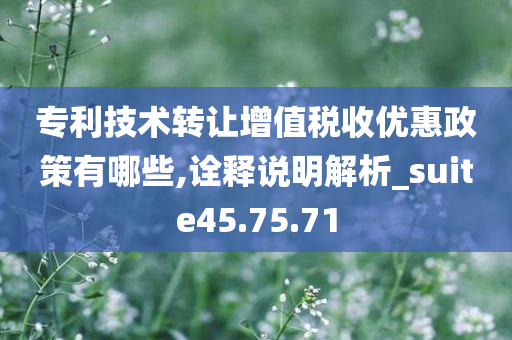 专利技术转让增值税收优惠政策有哪些,诠释说明解析_suite45.75.71