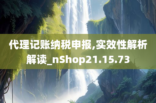 代理记账纳税申报,实效性解析解读_nShop21.15.73