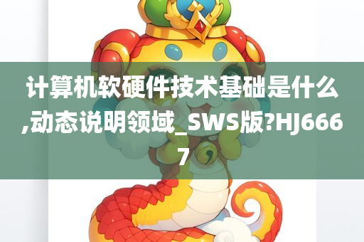 计算机软硬件技术基础是什么,动态说明领域_SWS版?HJ6667