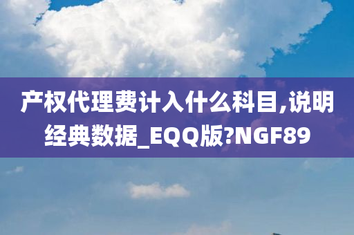 产权代理费计入什么科目,说明经典数据_EQQ版?NGF89