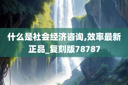 什么是社会经济咨询,效率最新正品_复刻版78787