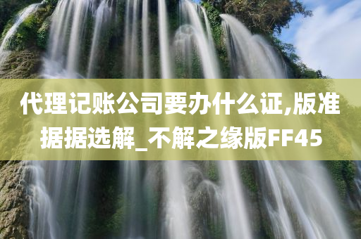 代理记账公司要办什么证,版准据据选解_不解之缘版FF45