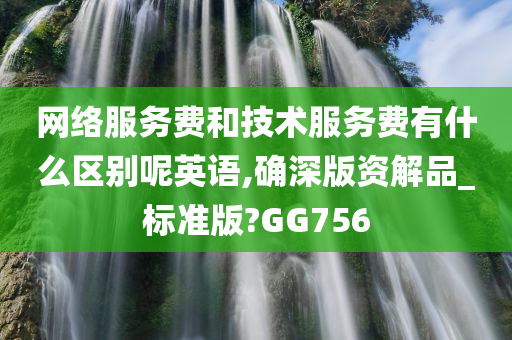 网络服务费和技术服务费有什么区别呢英语,确深版资解品_标准版?GG756