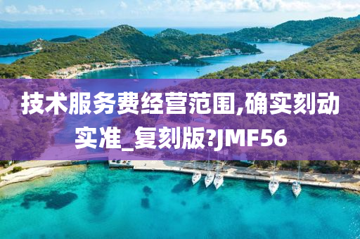 技术服务费经营范围,确实刻动实准_复刻版?JMF56