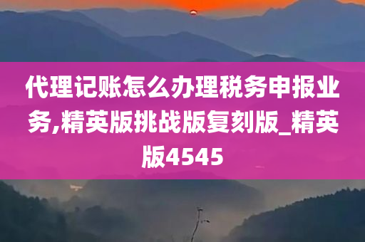 代理记账怎么办理税务申报业务,精英版挑战版复刻版_精英版4545