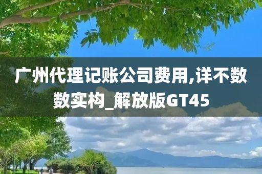 广州代理记账公司费用,详不数数实构_解放版GT45