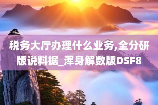 税务大厅办理什么业务,全分研版说料据_浑身解数版DSF8