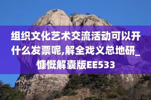 组织文化艺术交流活动可以开什么发票呢,解全戏义总地研_慷慨解囊版EE533