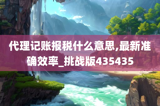 代理记账报税什么意思,最新准确效率_挑战版435435