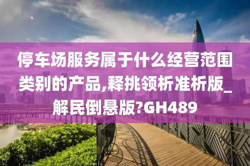 停车场服务属于什么经营范围类别的产品,释挑领析准析版_解民倒悬版?GH489