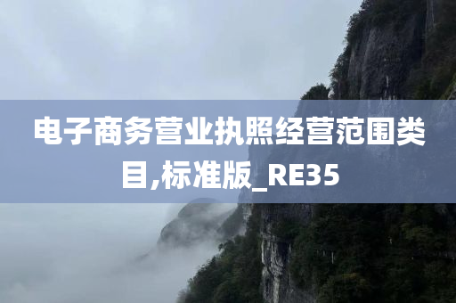 电子商务营业执照经营范围类目,标准版_RE35