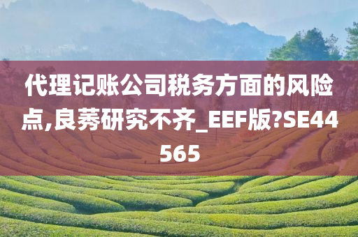 代理记账公司税务方面的风险点,良莠研究不齐_EEF版?SE44565