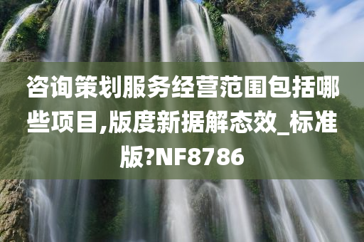 咨询策划服务经营范围包括哪些项目,版度新据解态效_标准版?NF8786