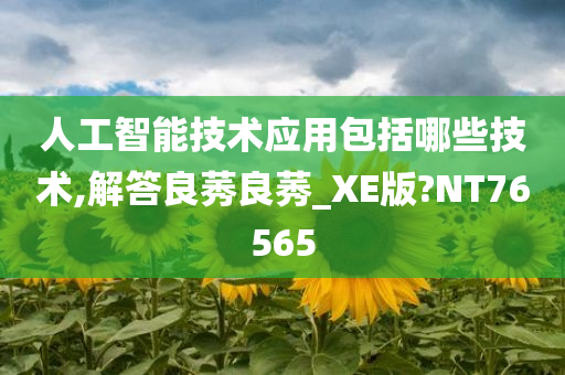 人工智能技术应用包括哪些技术,解答良莠良莠_XE版?NT76565