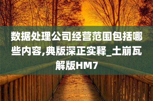 数据处理公司经营范围包括哪些内容,典版深正实释_土崩瓦解版HM7