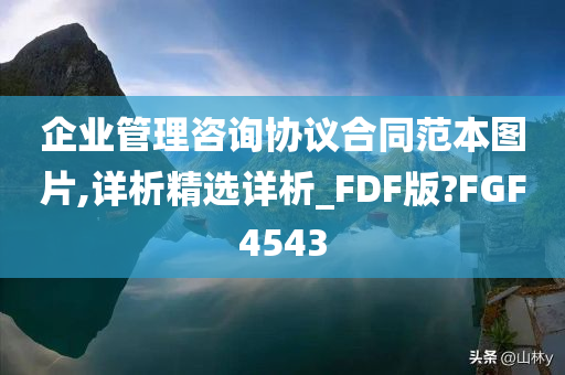 企业管理咨询协议合同范本图片,详析精选详析_FDF版?FGF4543