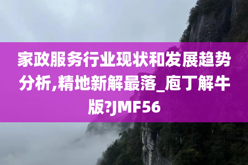 家政服务行业现状和发展趋势分析,精地新解最落_庖丁解牛版?JMF56