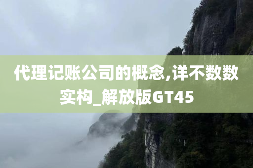 代理记账公司的概念,详不数数实构_解放版GT45