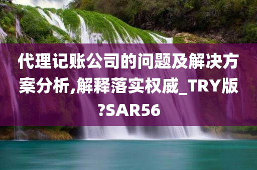 代理记账公司的问题及解决方案分析,解释落实权威_TRY版?SAR56