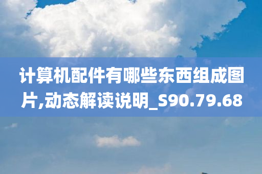 计算机配件有哪些东西组成图片,动态解读说明_S90.79.68