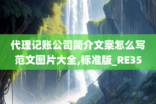 代理记账公司简介文案怎么写范文图片大全,标准版_RE35