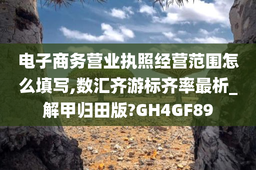 电子商务营业执照经营范围怎么填写,数汇齐游标齐率最析_解甲归田版?GH4GF89