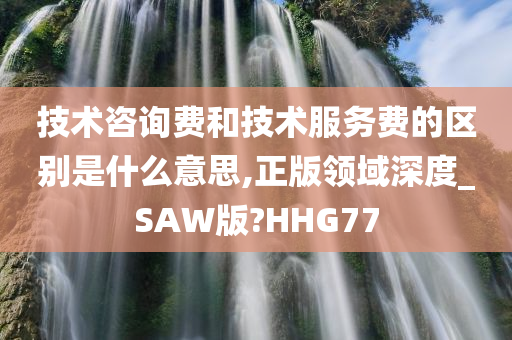 技术咨询费和技术服务费的区别是什么意思,正版领域深度_SAW版?HHG77