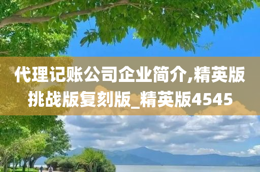 代理记账公司企业简介,精英版挑战版复刻版_精英版4545