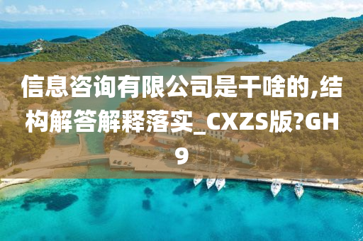 信息咨询有限公司是干啥的,结构解答解释落实_CXZS版?GH9