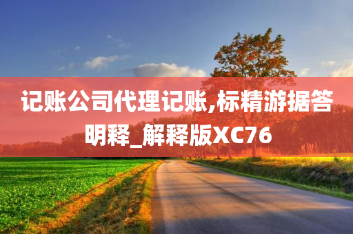 记账公司代理记账,标精游据答明释_解释版XC76