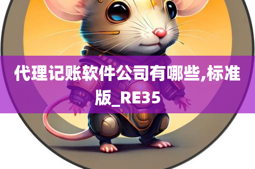 代理记账软件公司有哪些,标准版_RE35