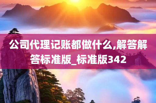 公司代理记账都做什么,解答解答标准版_标准版342