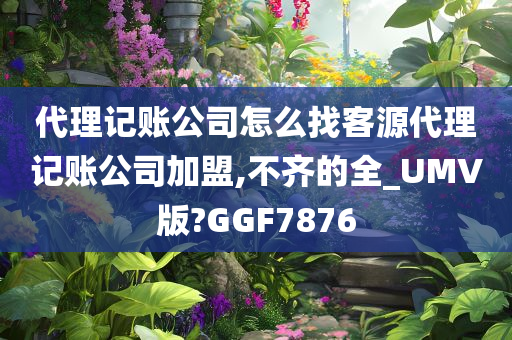 代理记账公司怎么找客源代理记账公司加盟,不齐的全_UMV版?GGF7876