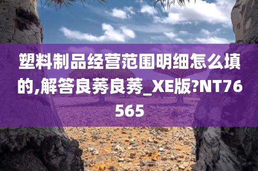 塑料制品经营范围明细怎么填的,解答良莠良莠_XE版?NT76565