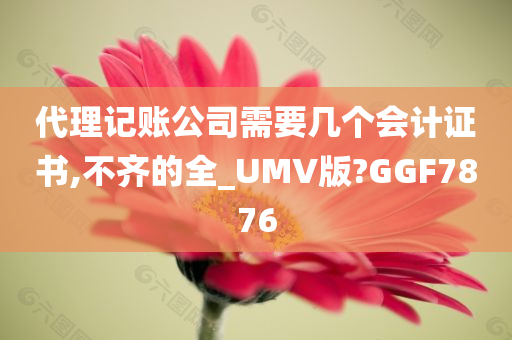 代理记账公司需要几个会计证书,不齐的全_UMV版?GGF7876