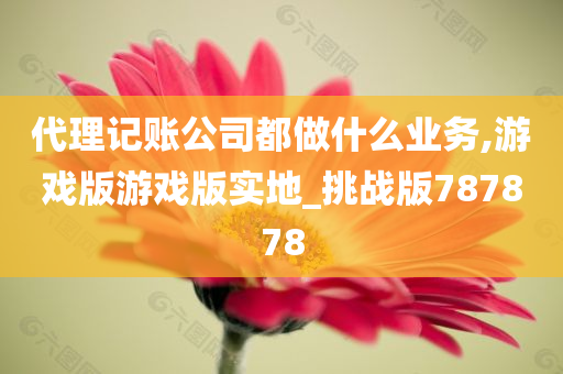 代理记账公司都做什么业务,游戏版游戏版实地_挑战版787878