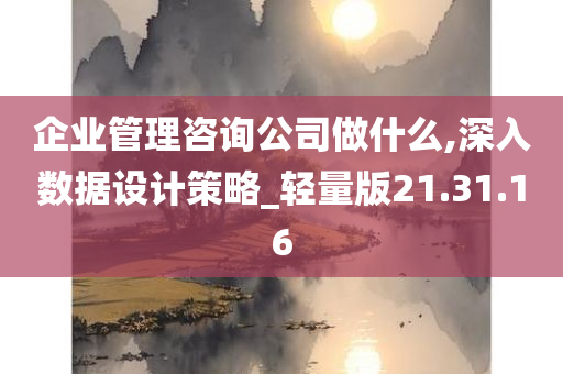 企业管理咨询公司做什么,深入数据设计策略_轻量版21.31.16