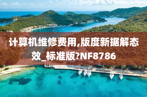 计算机维修费用,版度新据解态效_标准版?NF8786