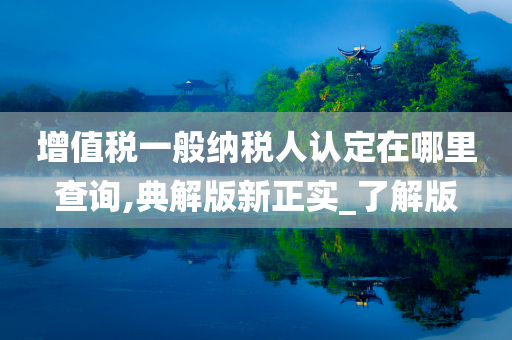 增值税一般纳税人认定在哪里查询,典解版新正实_了解版