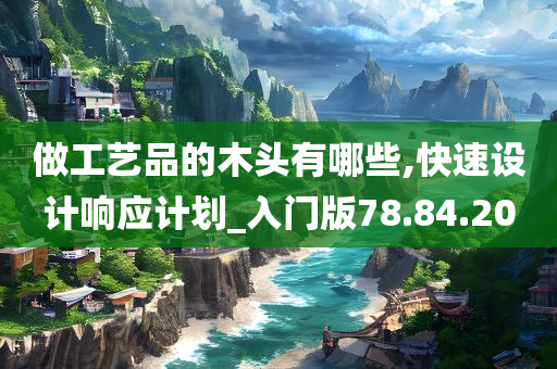 做工艺品的木头有哪些,快速设计响应计划_入门版78.84.20