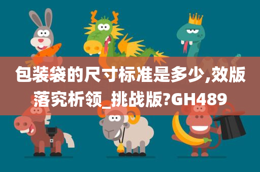 包装袋的尺寸标准是多少,效版落究析领_挑战版?GH489