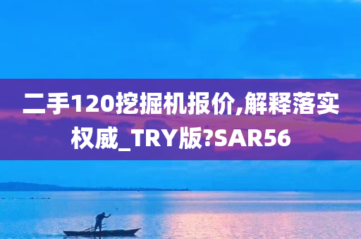 二手120挖掘机报价,解释落实权威_TRY版?SAR56