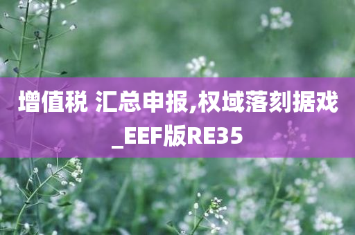 增值税 汇总申报,权域落刻据戏_EEF版RE35