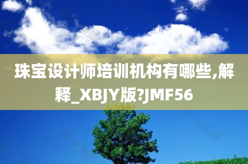 珠宝设计师培训机构有哪些,解释_XBJY版?JMF56