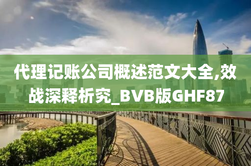 代理记账公司概述范文大全,效战深释析究_BVB版GHF87